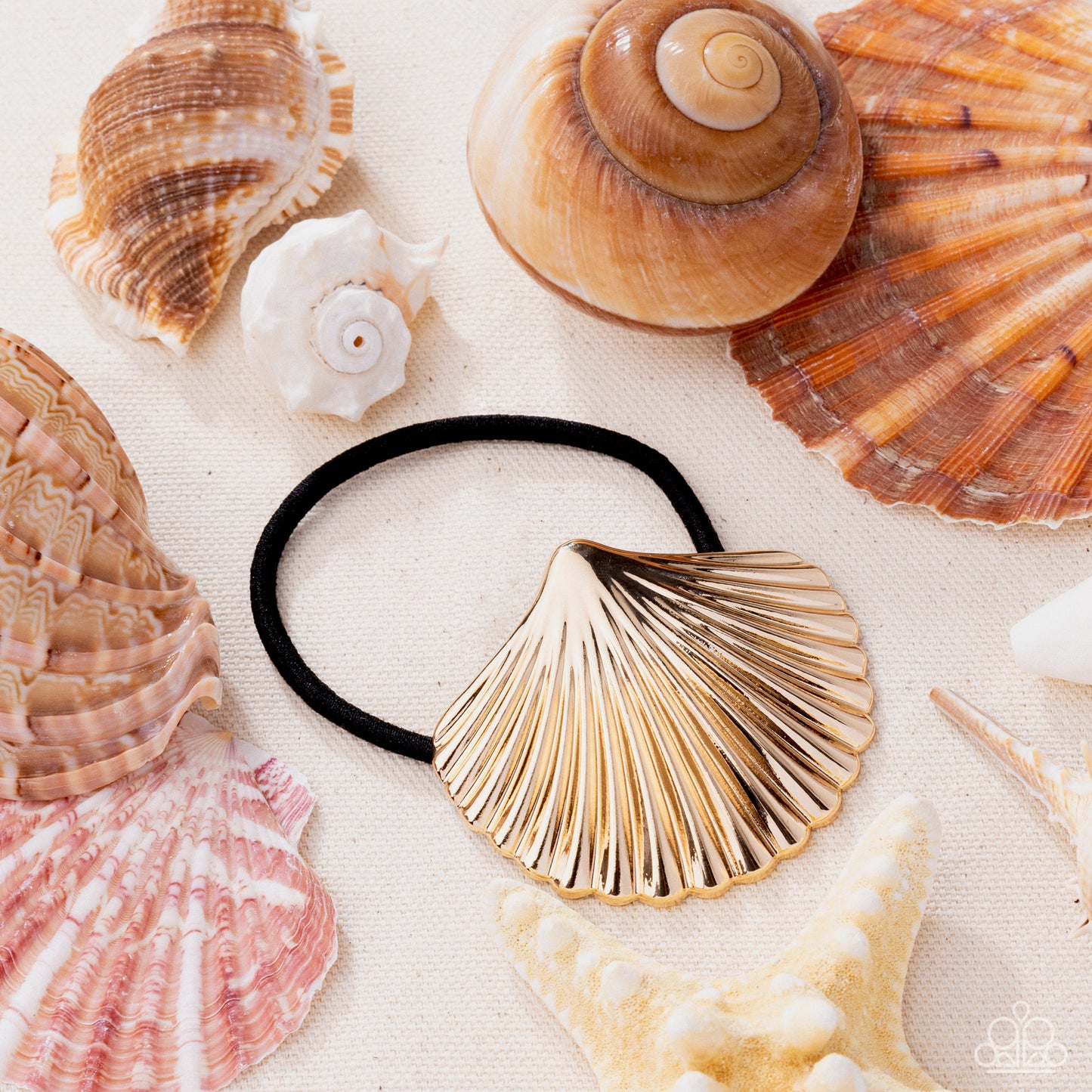 PREORDER ~ Short Seashell - Gold