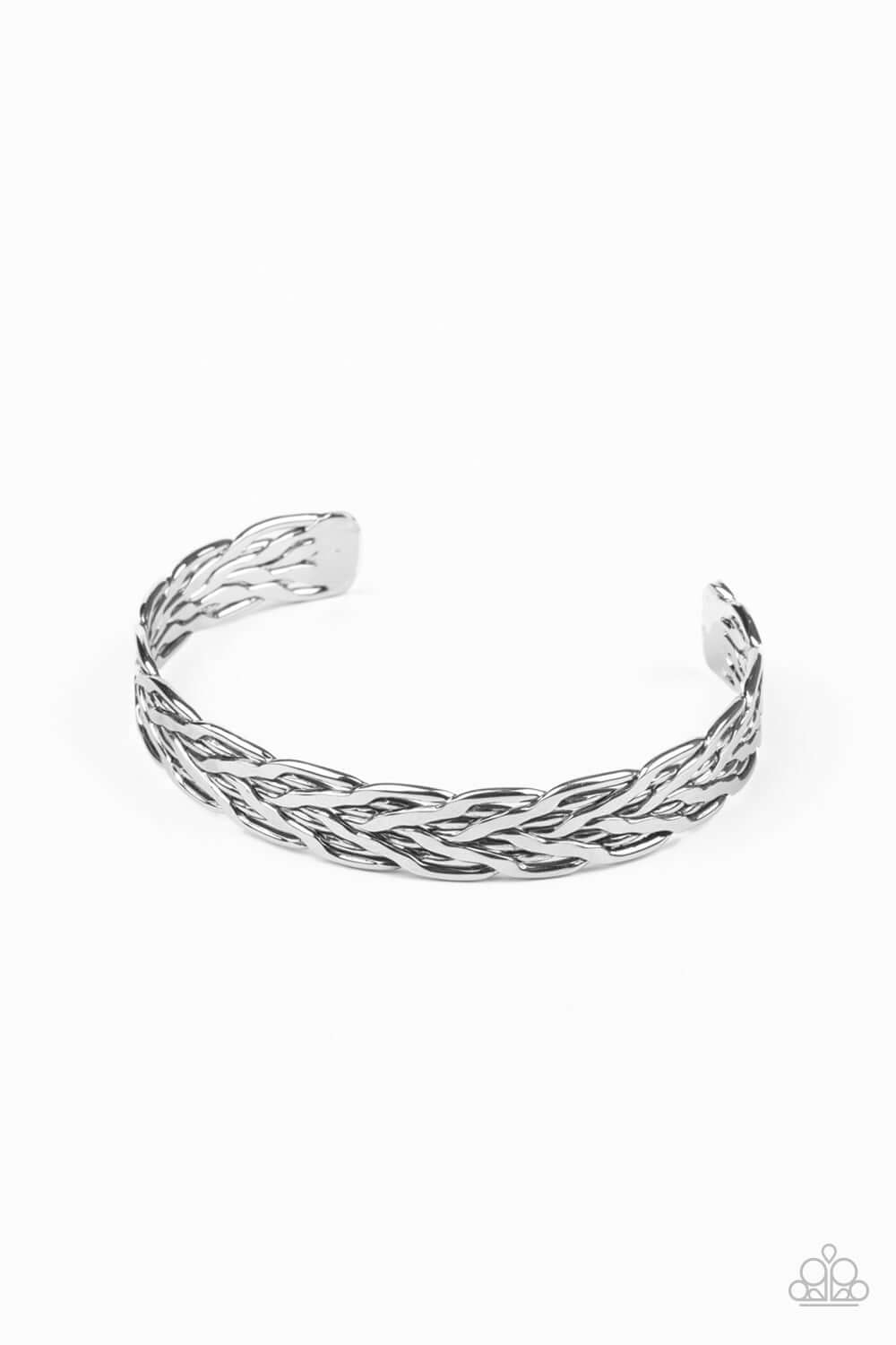 Magnetic Maven - Silver Paparazzi Men's Bracelet $5 Jewelry with Janet Morgan Bracelets